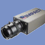 PPT Impact T20 - Impact T20 by PPT PPT Impact T20 - Impact T20 by PPT
